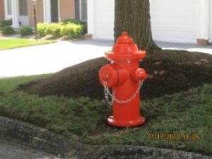 Tips for Maintaining Fire Hydrants Around Your Business