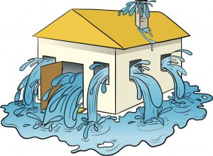 What to Do in Case of a Plumbing Emergency