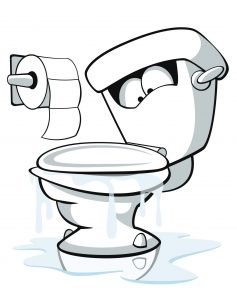 What to Do If Your Toilet Is Overflowing