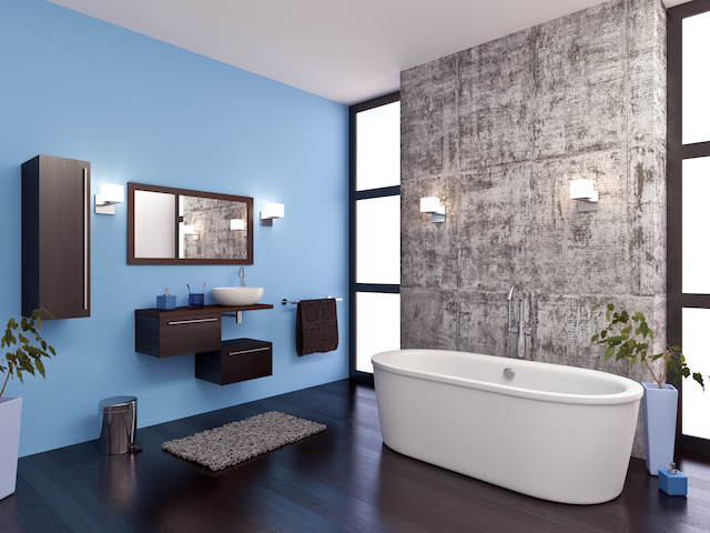 Professional Plumbers and Bathroom Remodels
