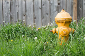 Everything to Know About a Fire Hydrant Repair
