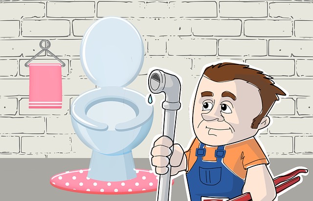 Summer Pesky Plumbing Problems