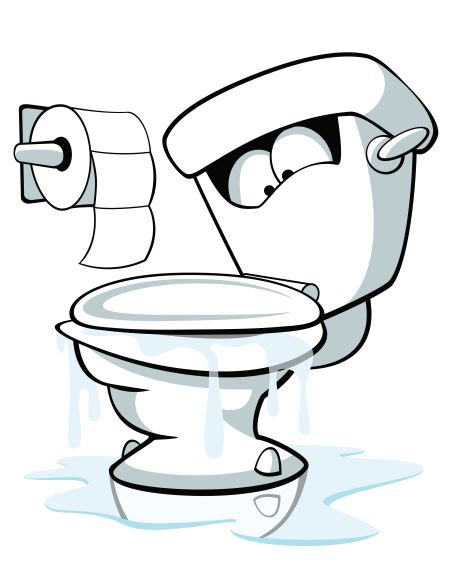 Common Causes of a Leaking Toilet: Part Two