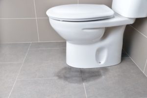 Common Causes of a Leaking Toilet: Part One