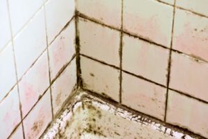 4 Common Causes of Mold Growth in Bathrooms