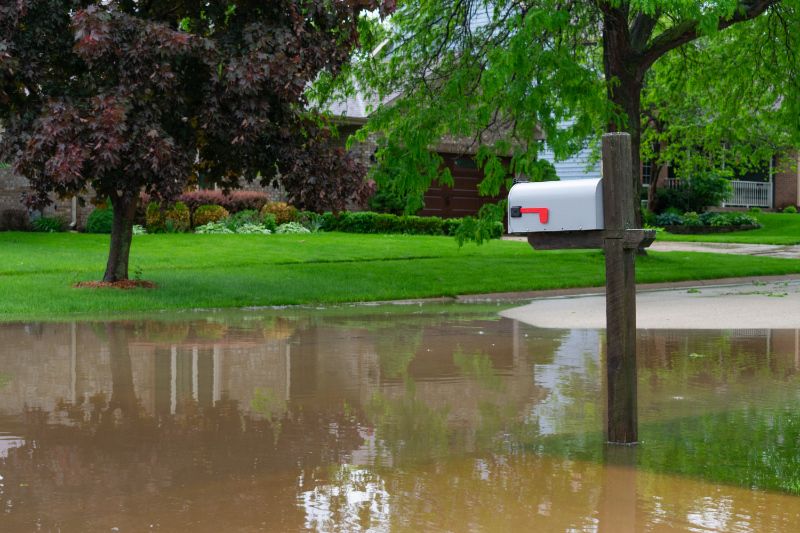 Image of flooding by mailbox.